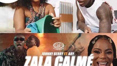 Johnny Berry ft. Ary - Zala Calmé