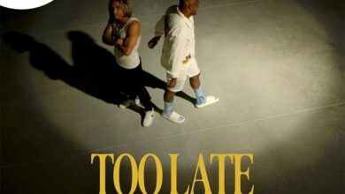 Sarissari ft. G Baby da Silva - Too Late