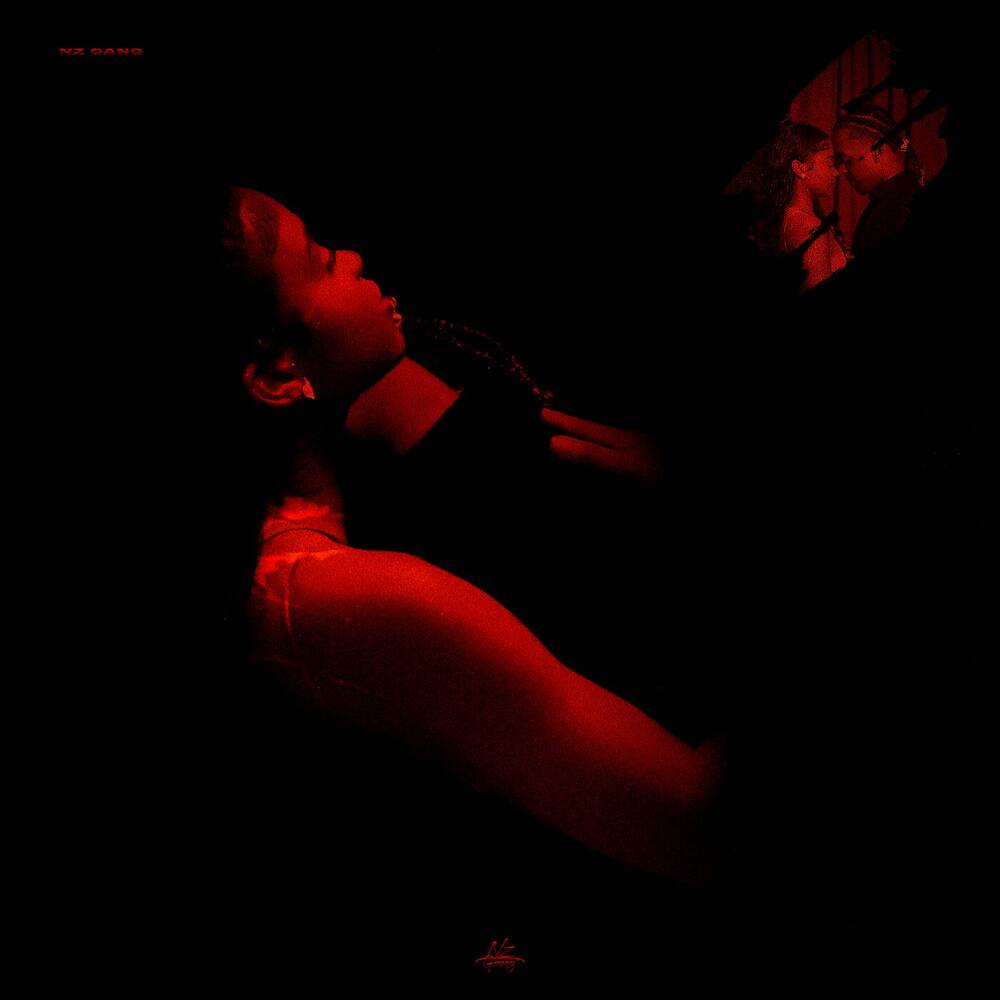 NZ Gang ft. Rikas, Das G - Meu Amor