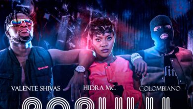 Hidra Mc ft. Colombiano, Valente Shivas - Babulu