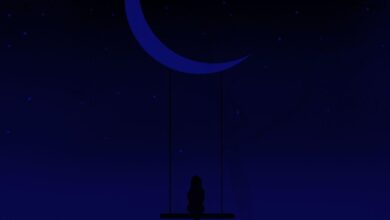 Silver Saga - Vai Devagar