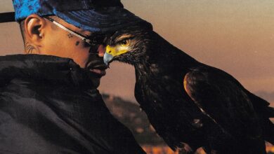 Bielzin – Falcão do Morro (Álbum)