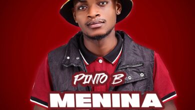 Pinto B - Menina