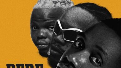 Rayvanny ft. Marioo & Harmonize - Pere