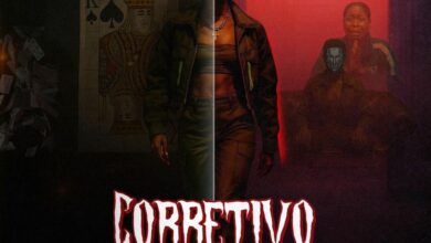 Briisa - Corretivo