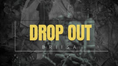 Briisa - Drop Out