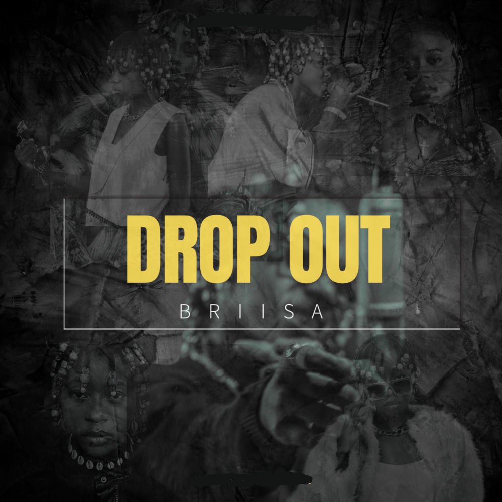Briisa - Drop Out
