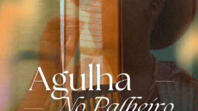Edgar Domingos - Agulha no Palheiro