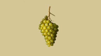 Twenty20 - Uvas Chardonnay