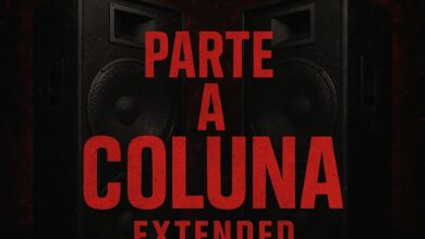 Filho do Zua feat. Sebastian no Beat - Parte a Coluna (Remix)