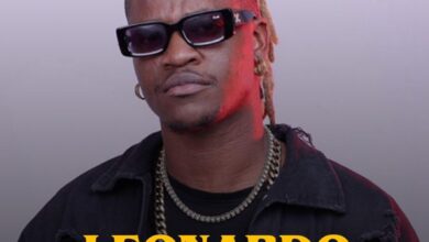 Leonardo Freezy
