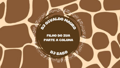 Dj Osvaldo Mauro - Parte a Coluna (feat. Filho Do Zua)