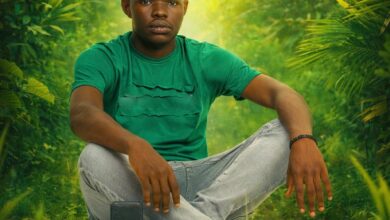 Sebastian No Beat - Gafanhoto