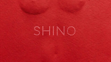 Skiibii - SHINO (feat. Oxlade)